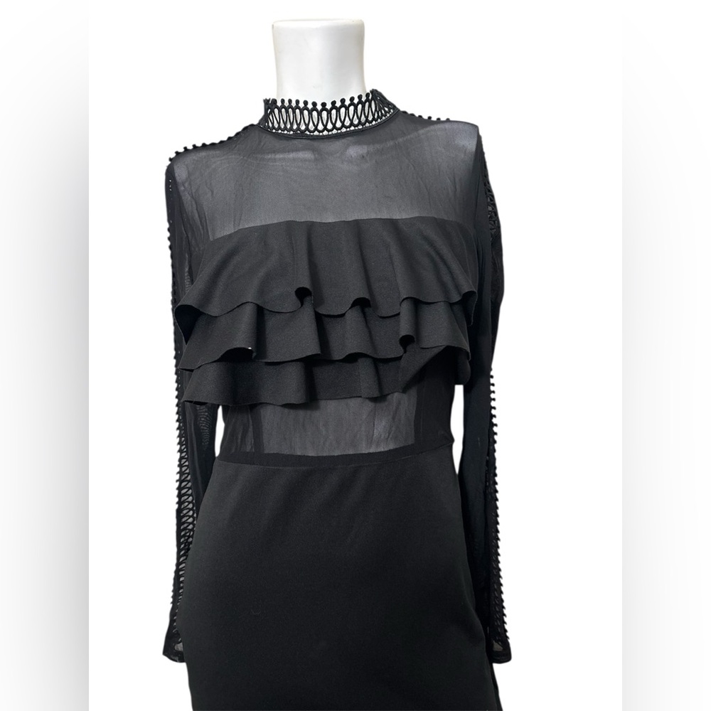 Black Mesh Ruffled Dress - Picture 2 of 3